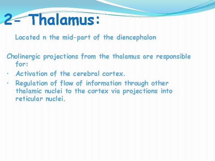 2 - Thalamus: Located n the mid-part of the diencephalon Cholinergic projections from the