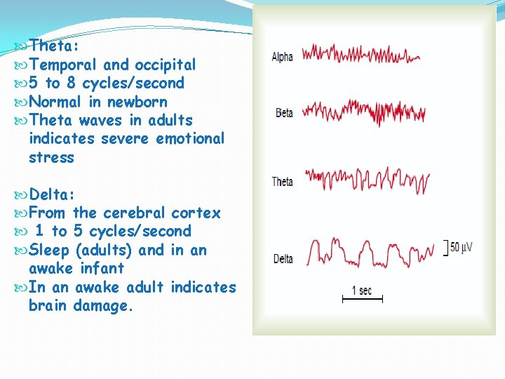  Theta: Temporal and occipital 5 to 8 cycles/second Normal in newborn Theta waves