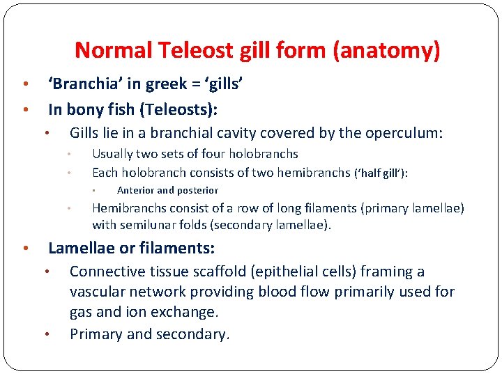 Normal Teleost gill form (anatomy) • • ‘Branchia’ in greek = ‘gills’ In bony
