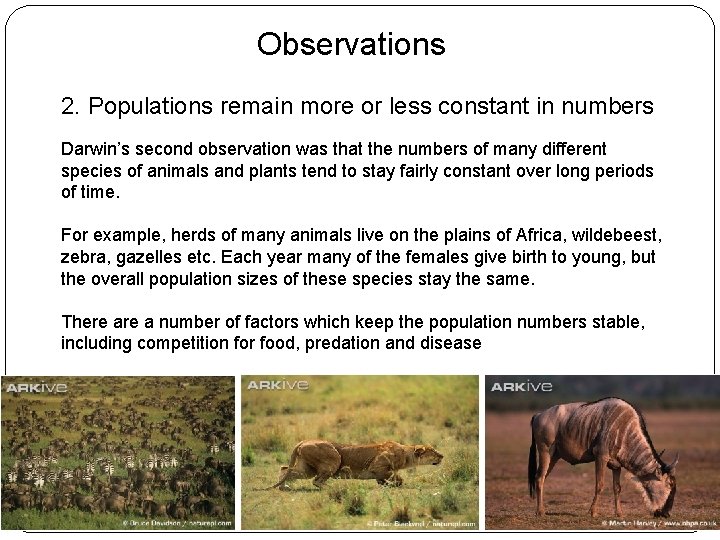 Observations 2. Populations remain more or less constant in numbers Darwin’s second observation was