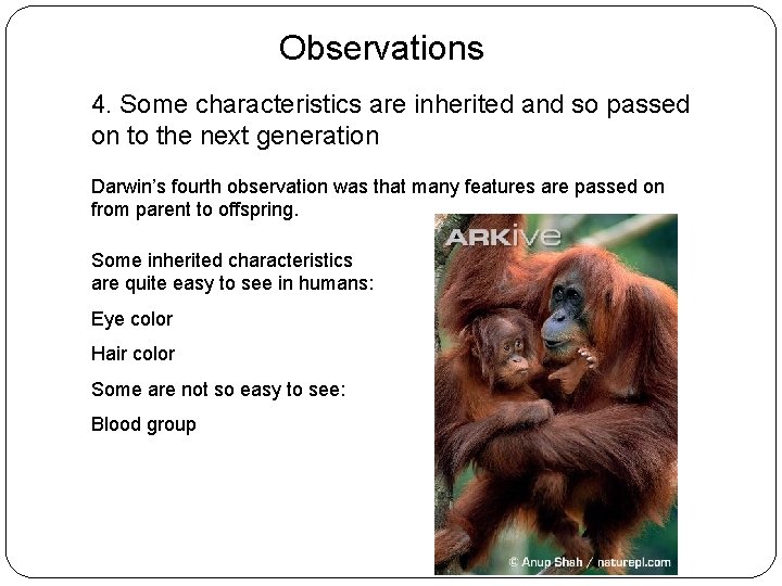 Observations 4. Some characteristics are inherited and so passed on to the next generation