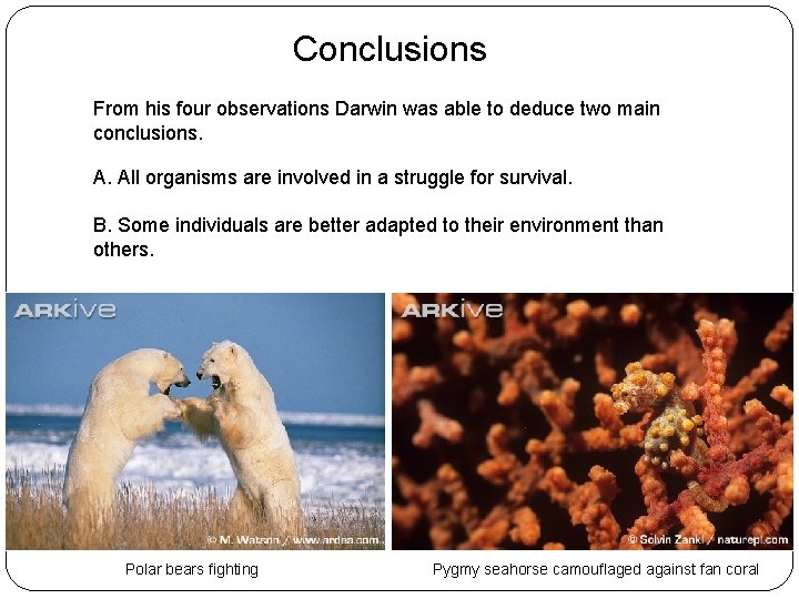 Conclusions From his four observations Darwin was able to deduce two main conclusions. A.