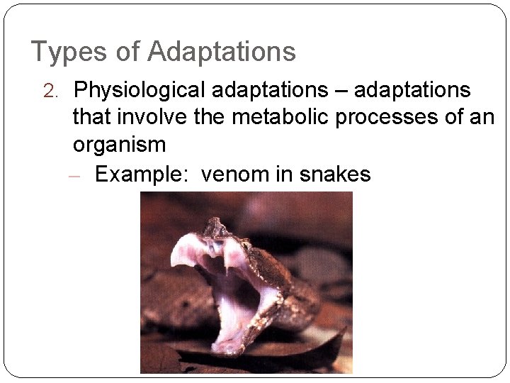 Types of Adaptations 2. Physiological adaptations – adaptations that involve the metabolic processes of