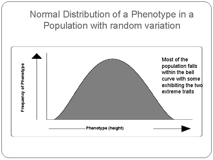 Normal Distribution of a Phenotype in a Population with random variation Frequency of Phenotype