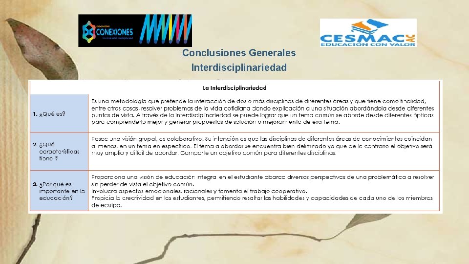 Conclusiones Generales Interdisciplinariedad 