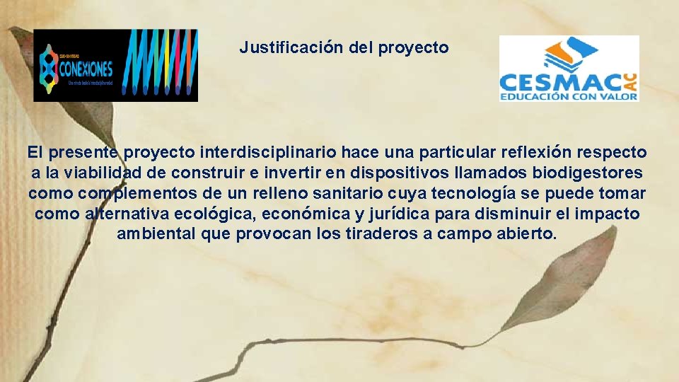 Justificación del proyecto El presente proyecto interdisciplinario hace una particular reflexión respecto a la