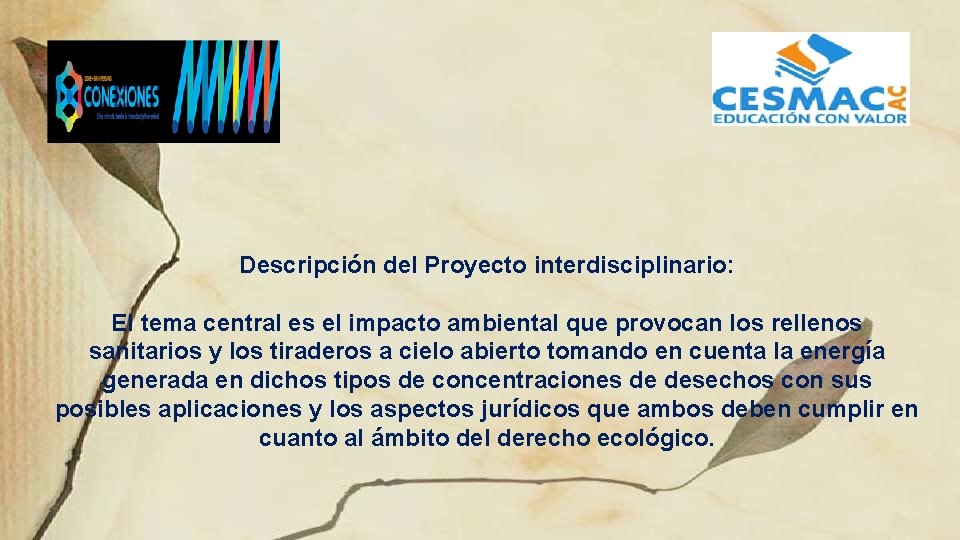 Descripción del Proyecto interdisciplinario: El tema central es el impacto ambiental que provocan los