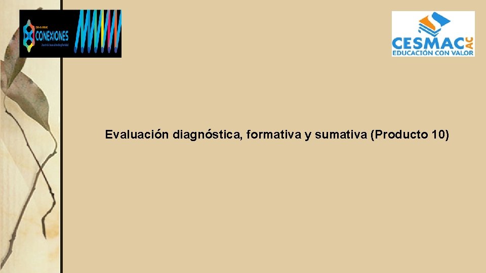 Evaluación diagnóstica, formativa y sumativa (Producto 10) 