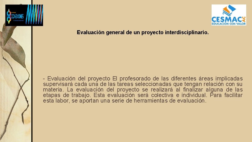 Evaluación general de un proyecto interdisciplinario. - Evaluación del proyecto El profesorado de las
