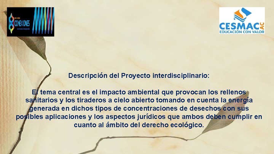 Descripción del Proyecto interdisciplinario: El tema central es el impacto ambiental que provocan los