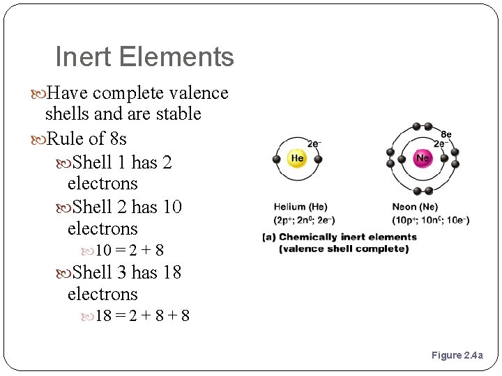 Inert Elements Have complete valence shells and are stable Rule of 8 s Shell