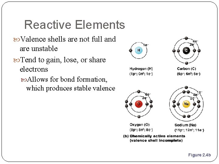Reactive Elements Valence shells are not full and are unstable Tend to gain, lose,