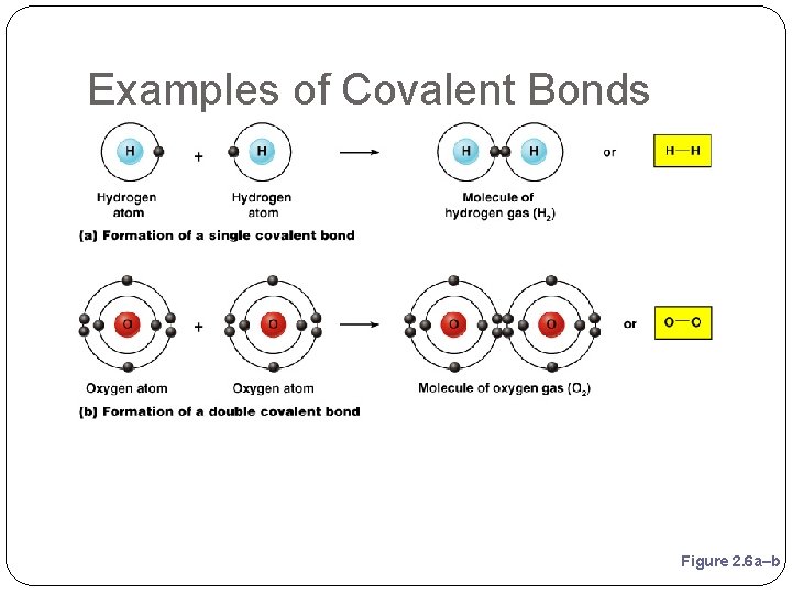 Examples of Covalent Bonds Figure 2. 6 a–b 