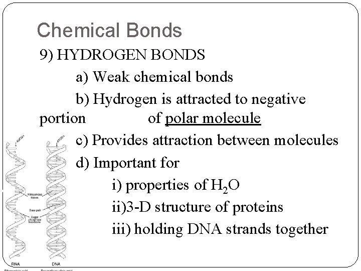 Chemical Bonds 9) HYDROGEN BONDS a) Weak chemical bonds b) Hydrogen is attracted to