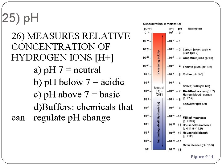 25) p. H 26) MEASURES RELATIVE CONCENTRATION OF HYDROGEN IONS [H+] a) p. H