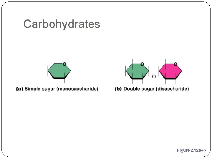 Carbohydrates Figure 2. 12 a–b 