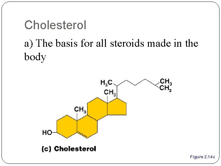 Cholesterol a) The basis for all steroids made in the body Figure 2. 14