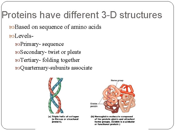 Proteins have different 3 -D structures Based on sequence of amino acids Levels Primary-