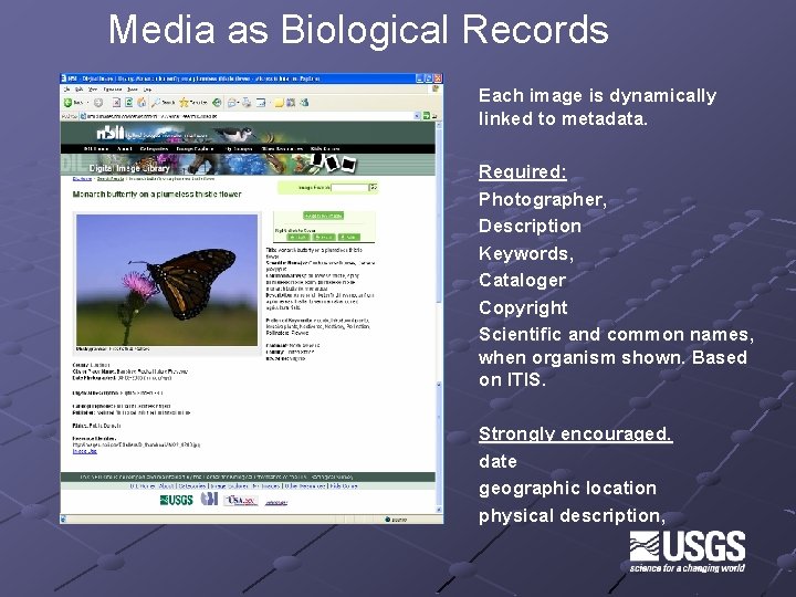 Media as Biological Records Each image is dynamically linked to metadata. Required: Photographer, Description