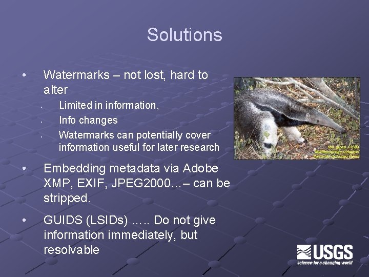 Solutions • Watermarks – not lost, hard to alter • • • Limited in