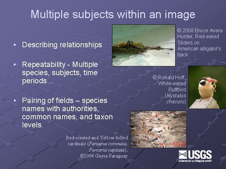 Multiple subjects within an image • Describing relationships • Repeatability - Multiple species, subjects,