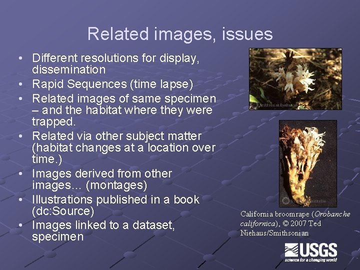 Related images, issues • Different resolutions for display, dissemination • Rapid Sequences (time lapse)