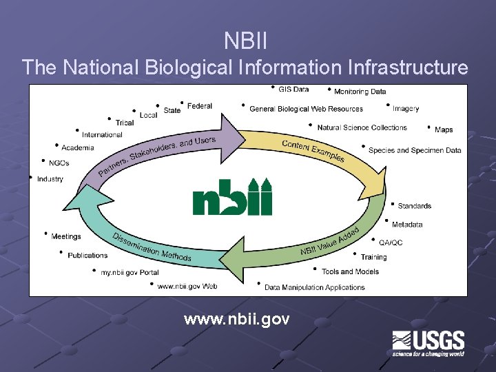 NBII The National Biological Information Infrastructure www. nbii. gov 