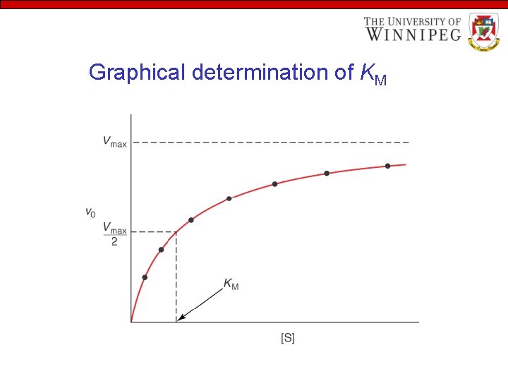 Graphical determination of KM 