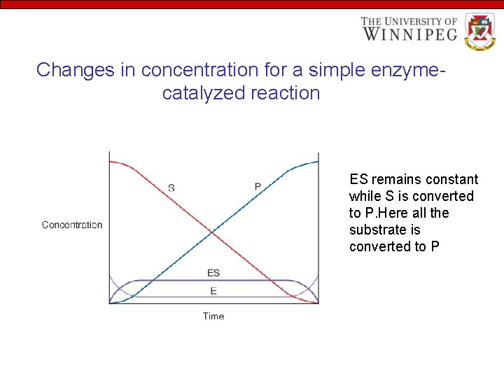 Changes in concentration for a simple enzymecatalyzed reaction ES remains constant while S is