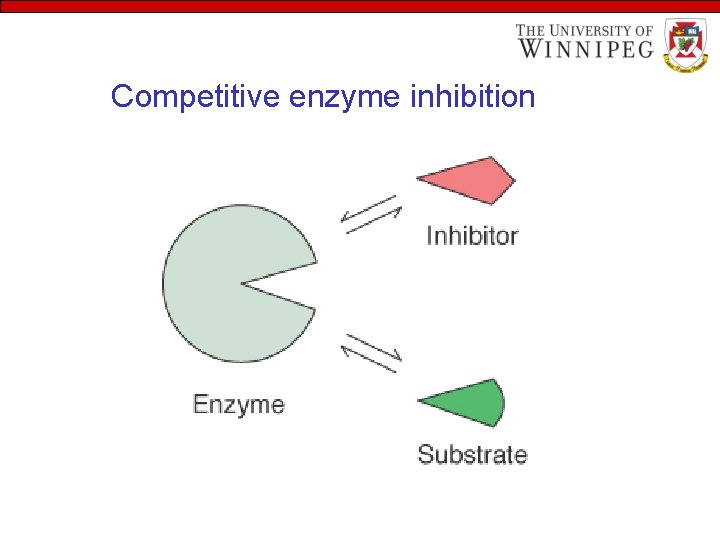 Competitive enzyme inhibition 