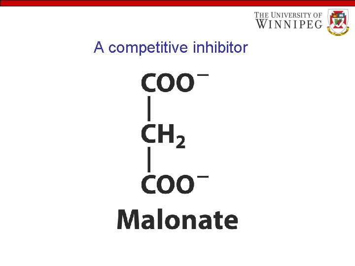 A competitive inhibitor 