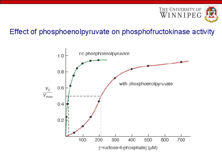 Effect of phosphoenolpyruvate on phosphofructokinase activity 