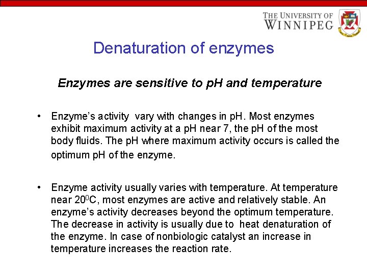 Denaturation of enzymes Enzymes are sensitive to p. H and temperature • Enzyme’s activity
