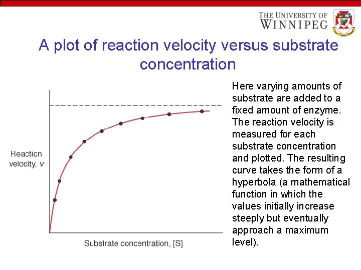 A plot of reaction velocity versus substrate concentration Here varying amounts of substrate are