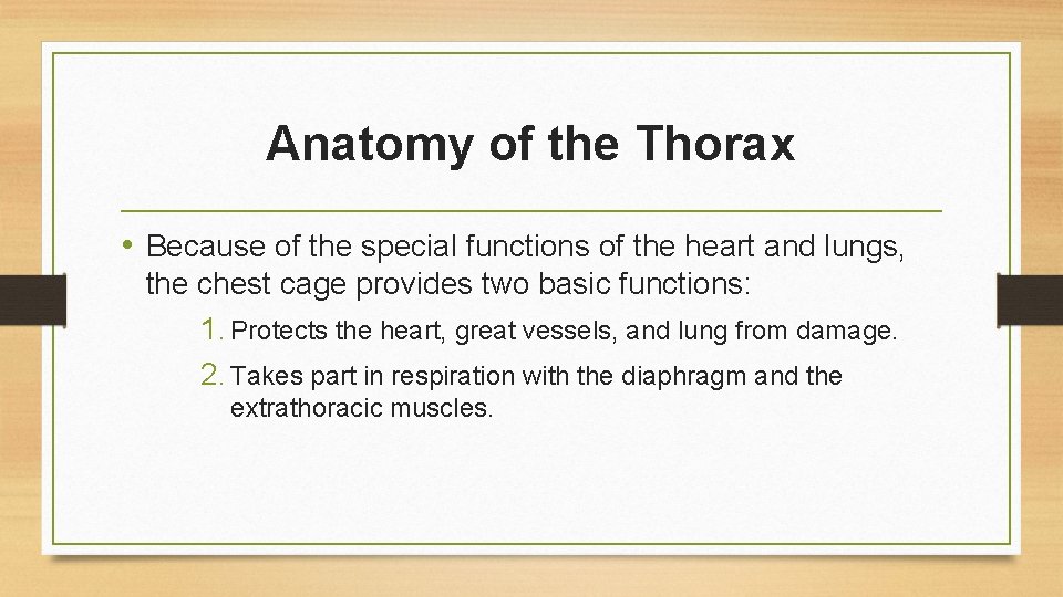Anatomy of the Thorax • Because of the special functions of the heart and