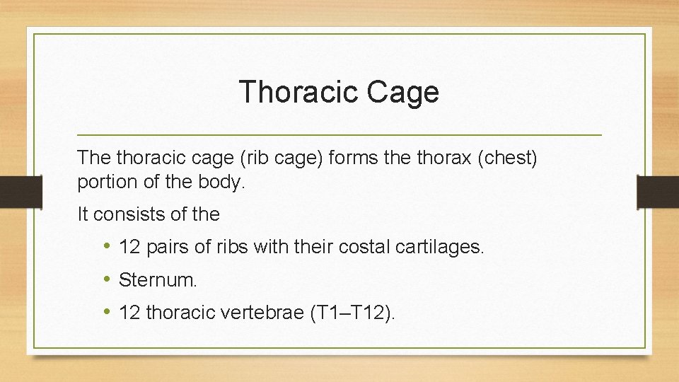 Thoracic Cage The thoracic cage (rib cage) forms the thorax (chest) portion of the