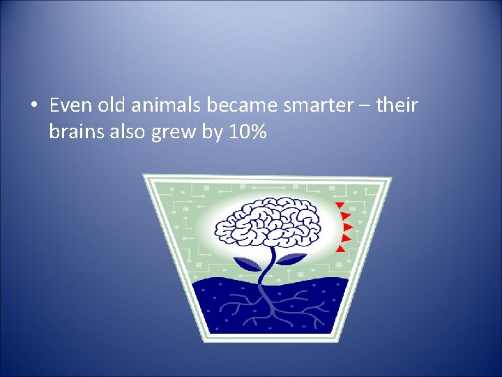  • Even old animals became smarter – their brains also grew by 10%