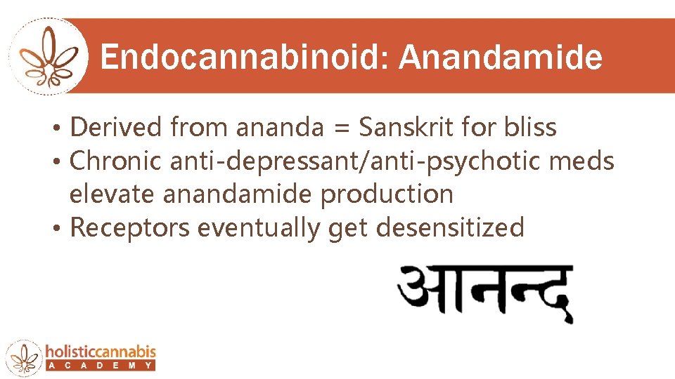 Endocannabinoid: Anandamide • Derived from ananda = Sanskrit for bliss • Chronic anti-depressant/anti-psychotic meds