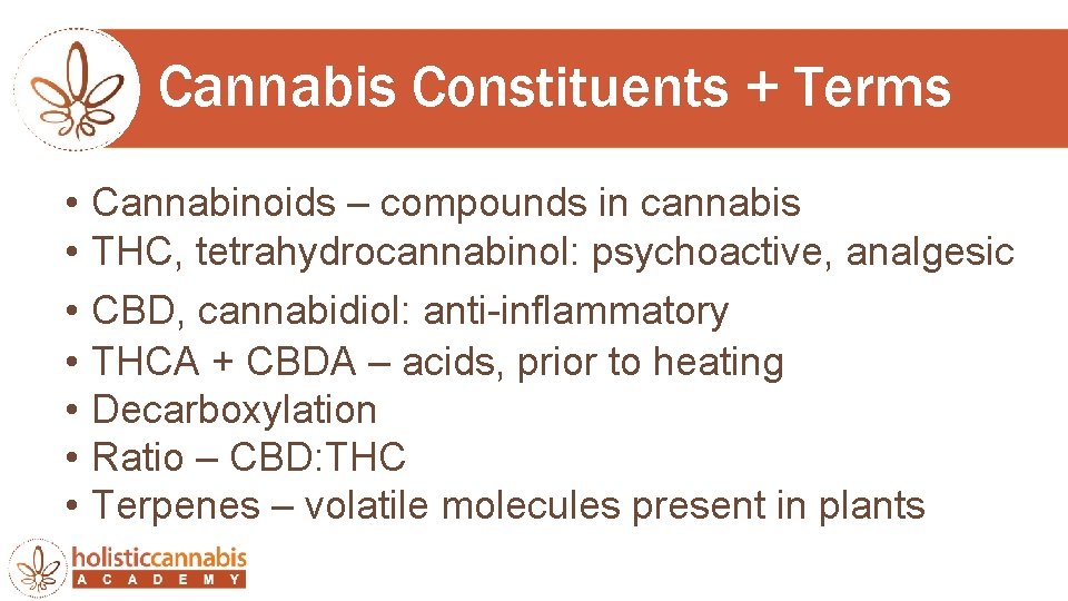 Cannabis Constituents + Terms • • Cannabinoids – compounds in cannabis THC, tetrahydrocannabinol: psychoactive,