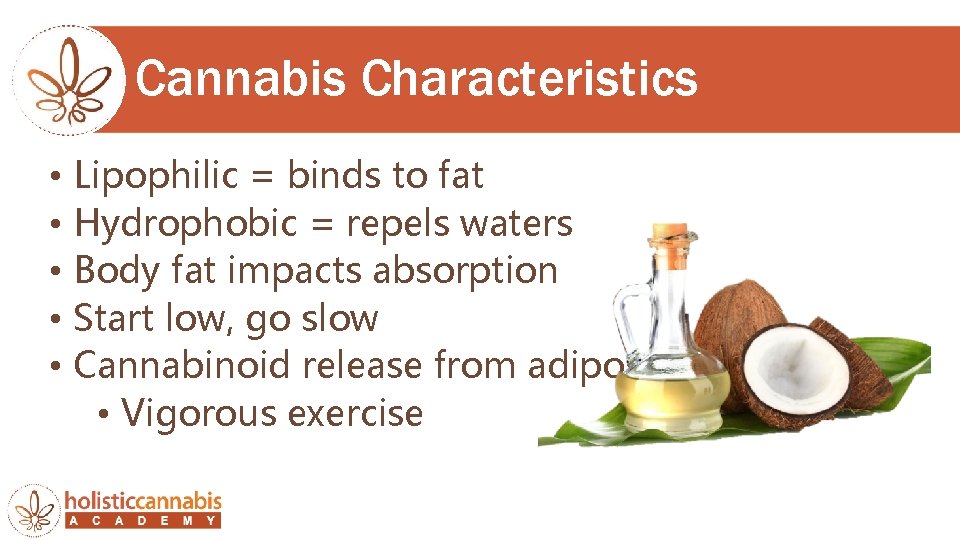 Cannabis Characteristics • • • Lipophilic = binds to fat Hydrophobic = repels waters