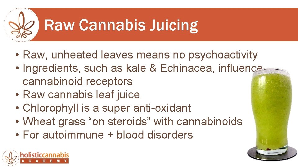 Raw Cannabis Juicing • Raw, unheated leaves means no psychoactivity • Ingredients, such as