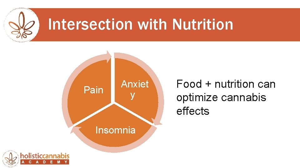 Intersection with Nutrition Pain Anxiet y Insomnia Food + nutrition can optimize cannabis effects