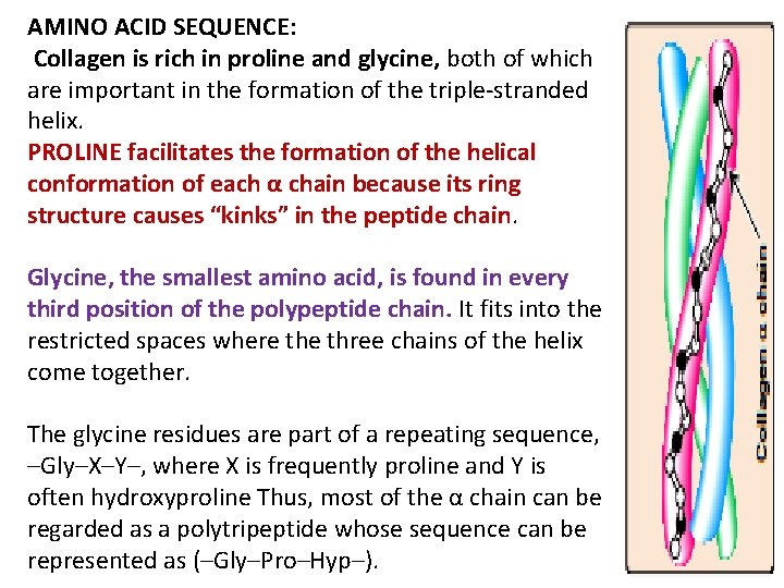 AMINO ACID SEQUENCE: Collagen is rich in proline and glycine, both of which are