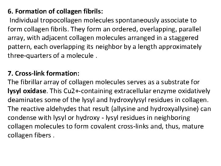 6. Formation of collagen fibrils: Individual tropocollagen molecules spontaneously associate to form collagen fibrils.