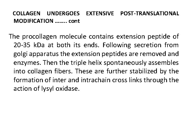 COLLAGEN UNDERGOES EXTENSIVE MODIFICATION ……. . cont POST-TRANSLATIONAL The procollagen molecule contains extension peptide