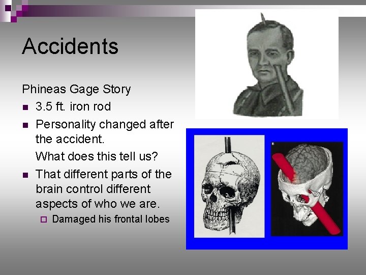 Accidents Phineas Gage Story n 3. 5 ft. iron rod n Personality changed after