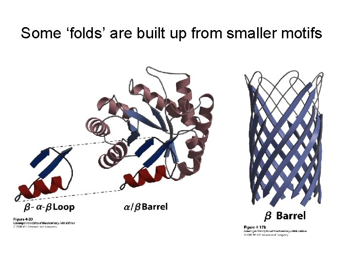 Some ‘folds’ are built up from smaller motifs 