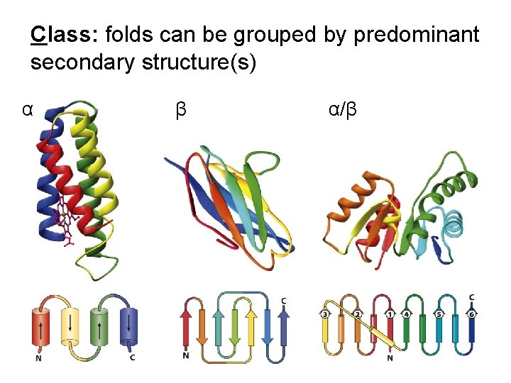 Class: folds can be grouped by predominant secondary structure(s) α β α/β 