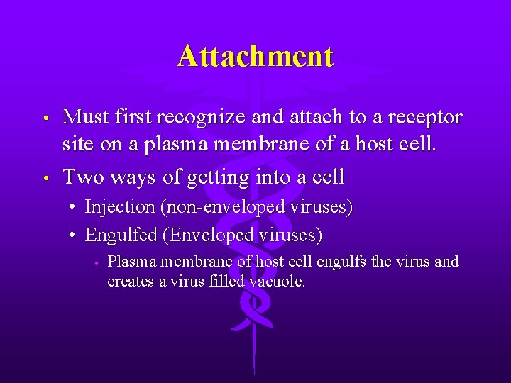 Attachment • • Must first recognize and attach to a receptor site on a