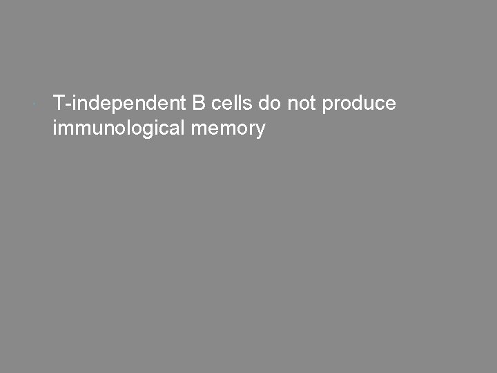  T-independent B cells do not produce immunological memory 